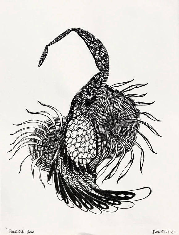 Peacock Crab
